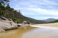squeakly bay